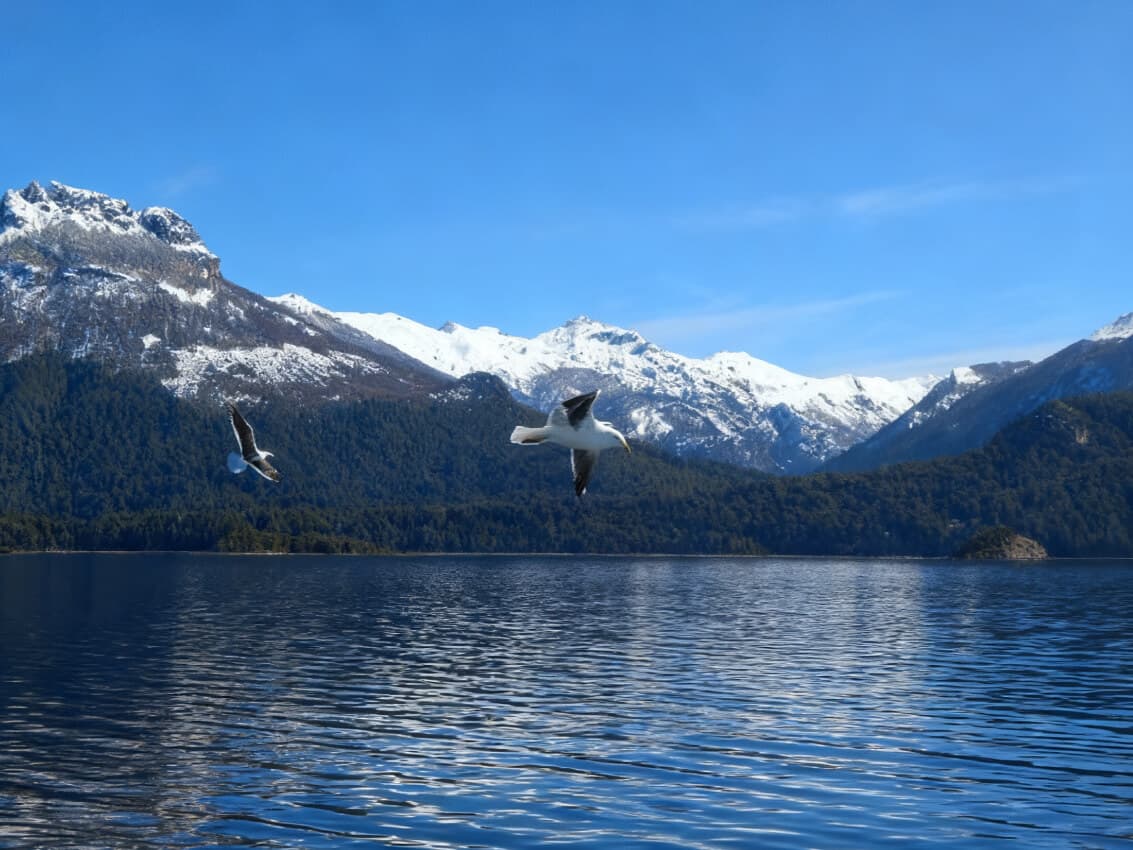 Isla victoria y bosque de Arrayanes